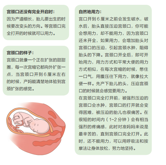 星空体育下载-城市“智慧发展”的核心是人性化(图3) 星空体育app官网下载
